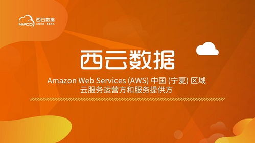 西云數(shù)據(jù)榮獲2020工業(yè)互聯(lián)網(wǎng)應(yīng)用創(chuàng)新獎 數(shù)據(jù)處理服務(wù)引領(lǐng)行業(yè)變革
